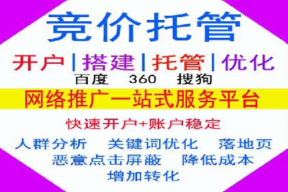 竞价广告在XX行业的成功应用案例